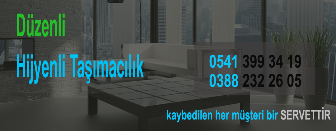 ambalajlı taşımacılık